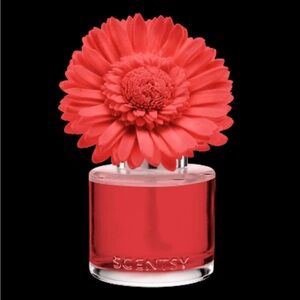 NWT Scentsy Santorini Blossoms - Dainty Daisy
Fragrance Flower